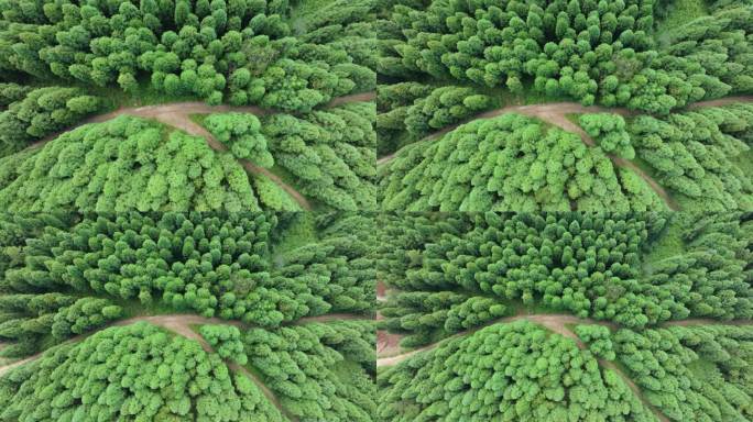 贵州省贵阳市白云区靛山村林场航拍风景