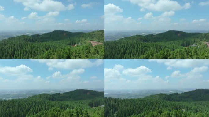 贵州省贵阳市白云区靛山村林场航拍风景