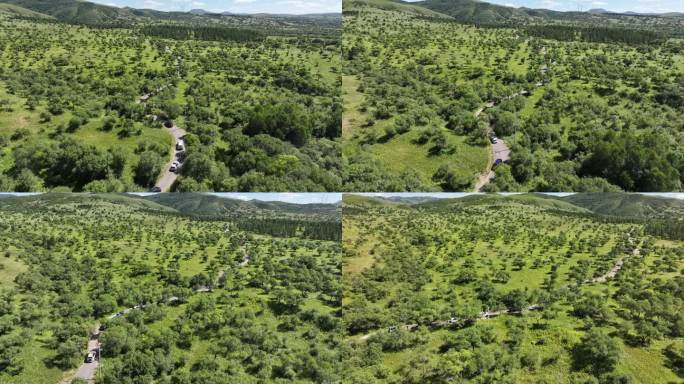 绿色山丘上的车辆行驶