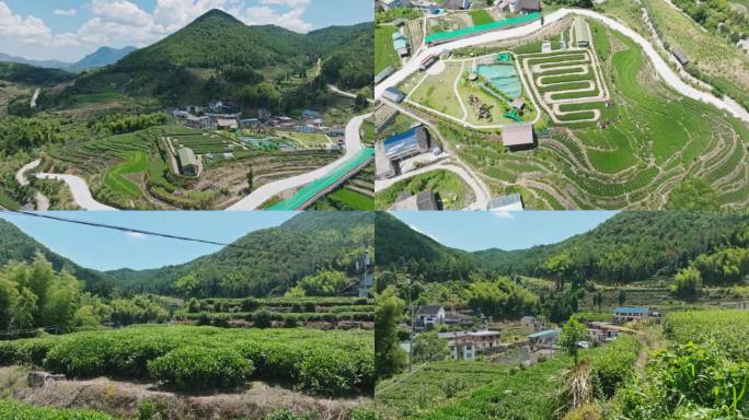 【4K】航拍 柘荣乡村 茶园