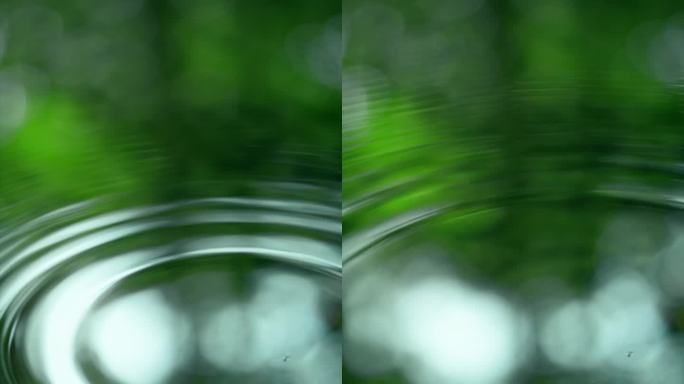 水面涟漪与绿色背景