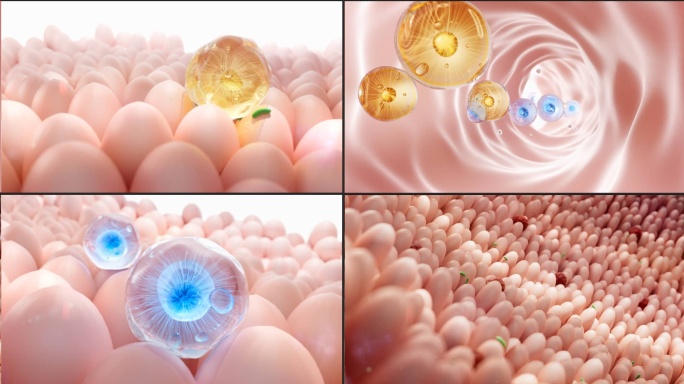 益生菌清理肠道病毒C4D工程