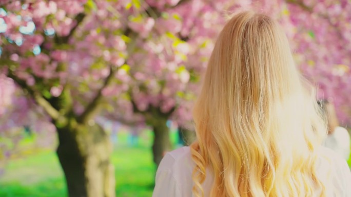 快乐的金发长发女性在公园里走，樱花粉色花朵盛开的树枝下享受春天的自然。女士从后面转身回头看。成年女孩