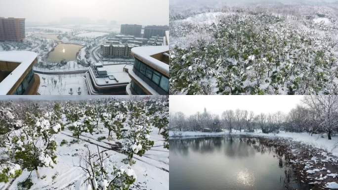 航拍安徽合肥冬天季雪景寒冷科大先研院