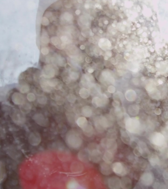 慢动作：年轻女性在阳光下吹雪花