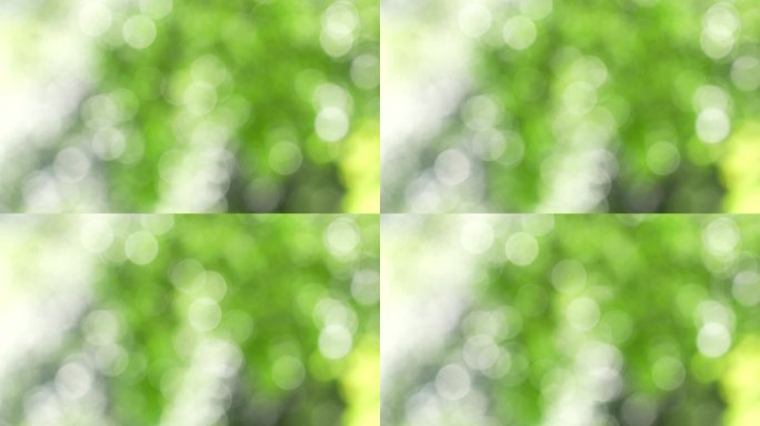 绿色光斑散景虚化背景