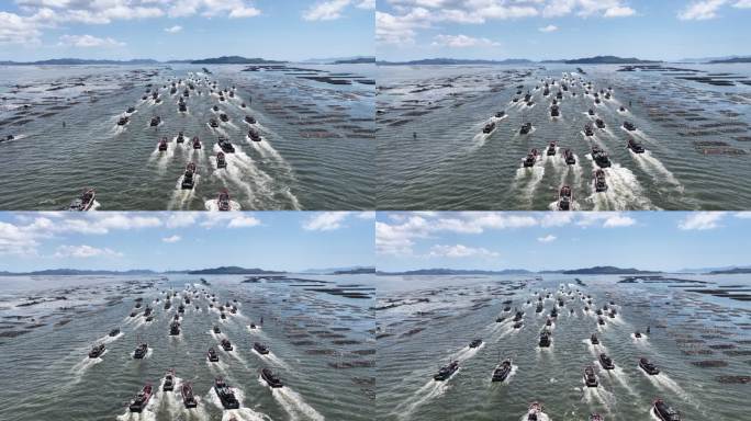 潮州饶平三百门码头开渔节