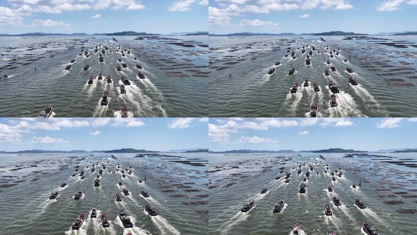 潮州饶平三百门码头开渔节