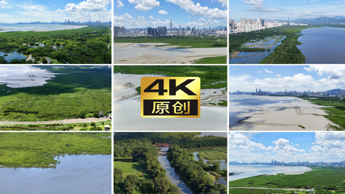 福田红树林生态公园