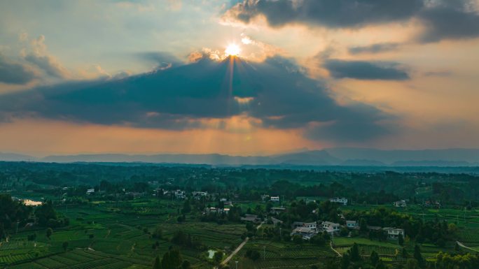 雅安大地指纹茶园延时-02