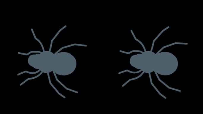 MG动画 蜘蛛动画