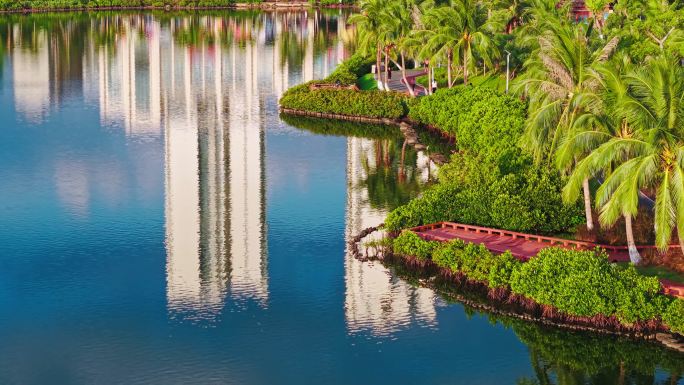 海口红城湖城市公园椰树椰林