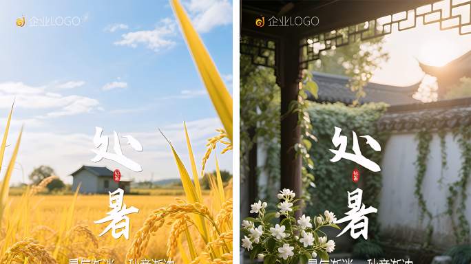 处暑 处暑节气处暑 节气处暑竖屏ae模板