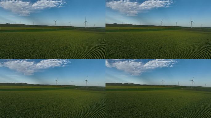 绿色能源风车发电