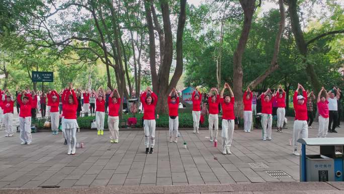 公园广场舞健身活动