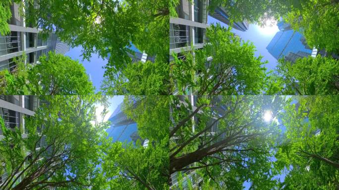 摩天大楼在郁郁葱葱的春季树木中拔地而起