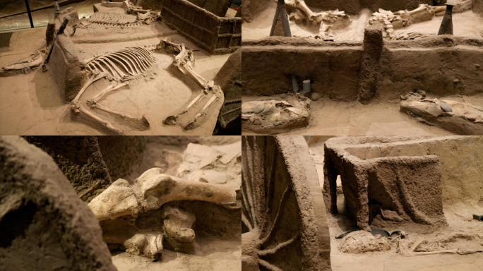 考古遗址 河南安阳殷墟遗址 考古现场