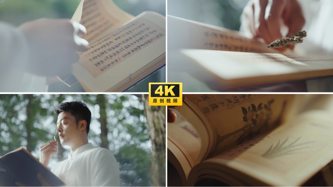 茶经古书养生药膳医书康养调理食谱