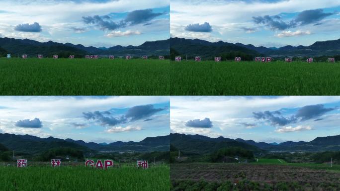 浙江磐安磐龙药谷高标准农田航拍