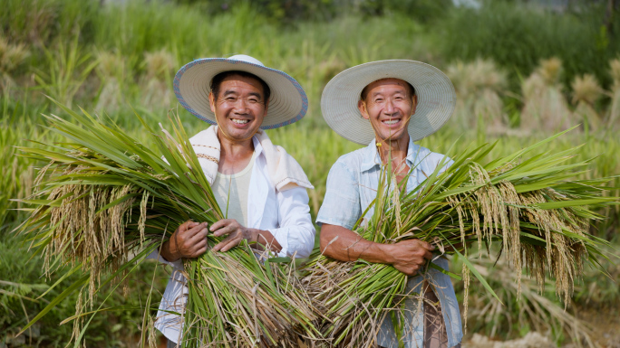 农民丰收的喜悦
