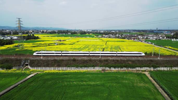 开往春天的列车油菜花合集