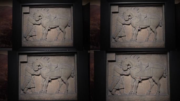 西安碑林博物馆昭陵六骏石刻