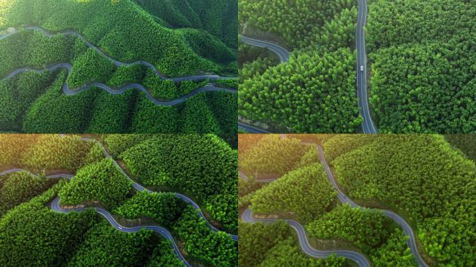 蜿蜒山路森林航拍俯拍汽车绿色生态盘山公路