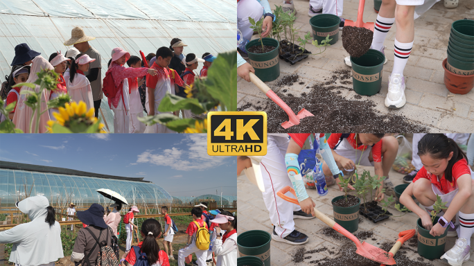 学生体验参观农场青少年劳动教育实践活动