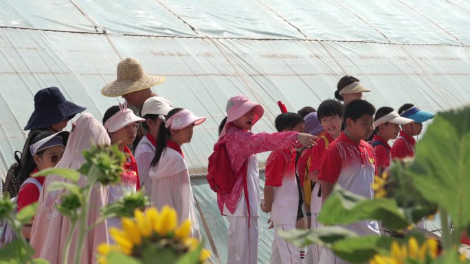 学生体验参观农场青少年劳动教育实践活动