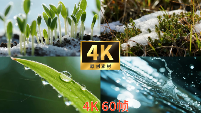 冰雪融化万物复苏春天发芽开花溪水