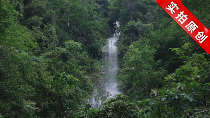 原始森林飞流直下的清凉瀑布