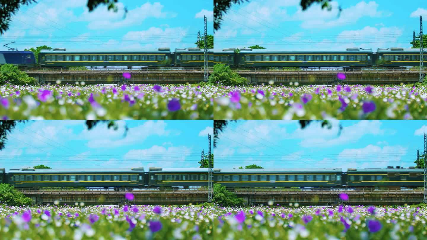 阳光花海绿皮火车