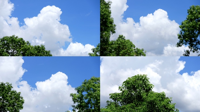 蓝天白云夏天日系小清新晴空绿树
