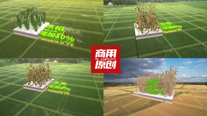 农业科技助力粮食增产