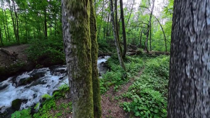 美丽的绿色森林和山间河流。航拍视频