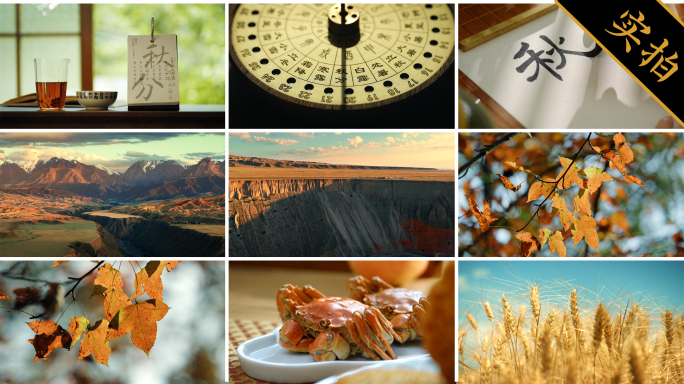 【秋分节气】秋天秋色秋景自然风光风景视频