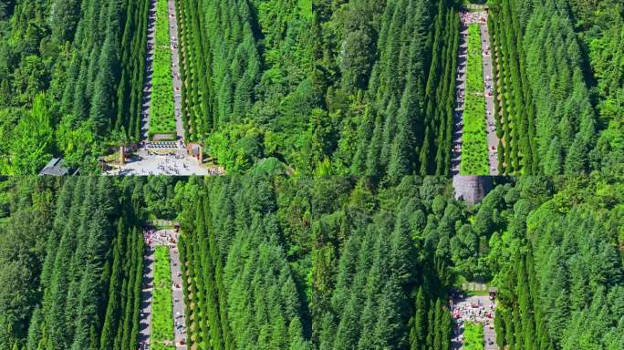 苍翠山林中的神农坛