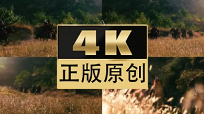 古代骑兵列队冲锋行进3