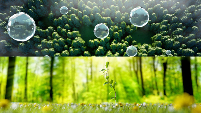 原创三维意境水滴植物生长生机勃勃场景