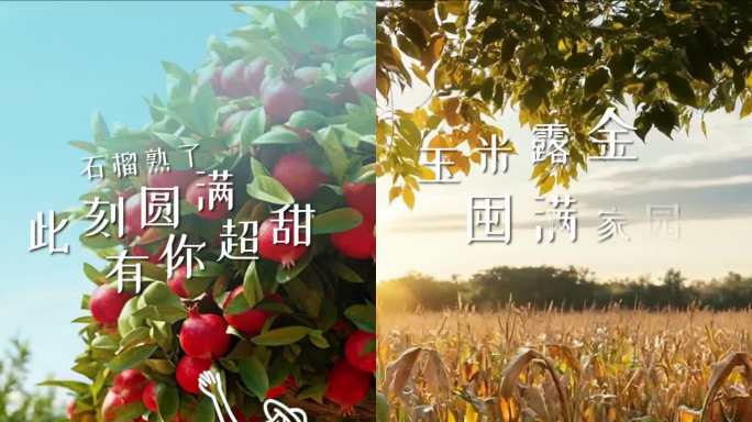 秋天藏着收获-创意视频