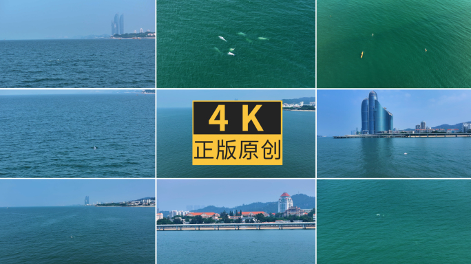 2025厦门白海豚双子塔同框4K航拍