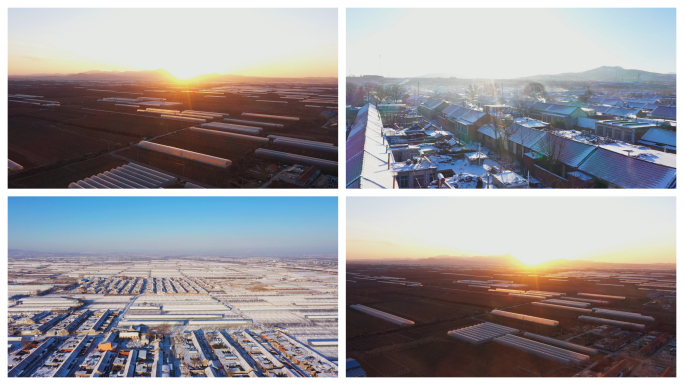 【版权】山东 农田 冬天 农村 农业