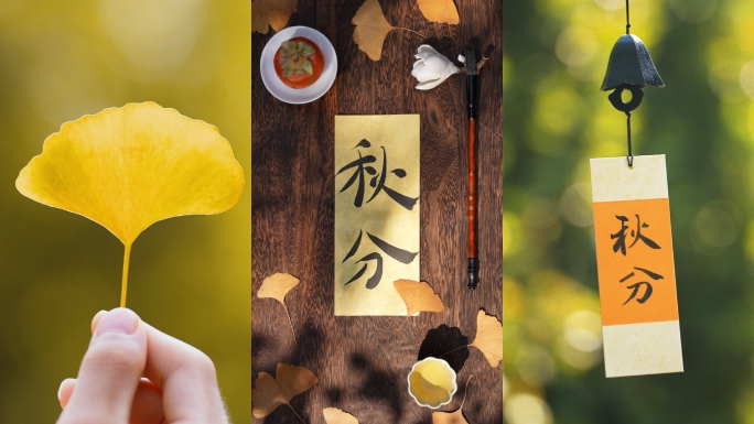 秋分 秋分节气 竖版 秋景 秋天 秋