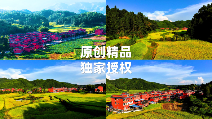 秋天的江西农村