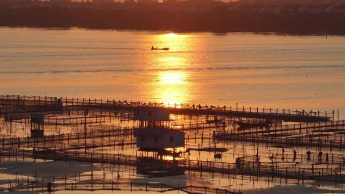 阳澄湖养殖基地日出