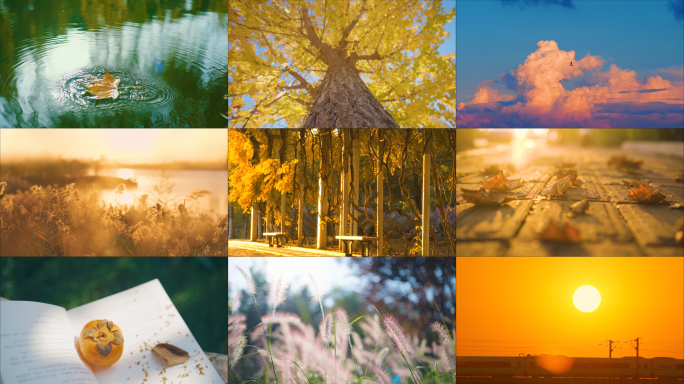 秋分 秋分节气 秋天 秋天风景 唯美秋天