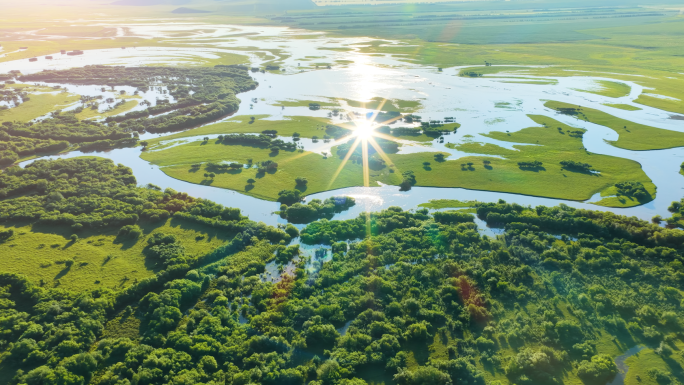 湿地沼泽额尔古纳河流