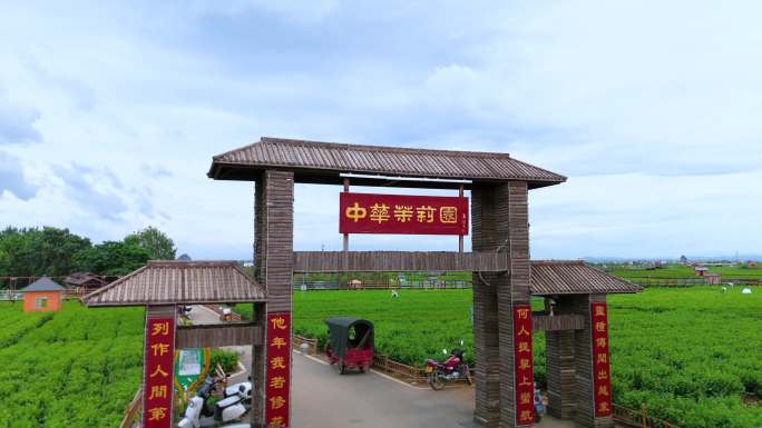 横州中华茉莉园航拍
