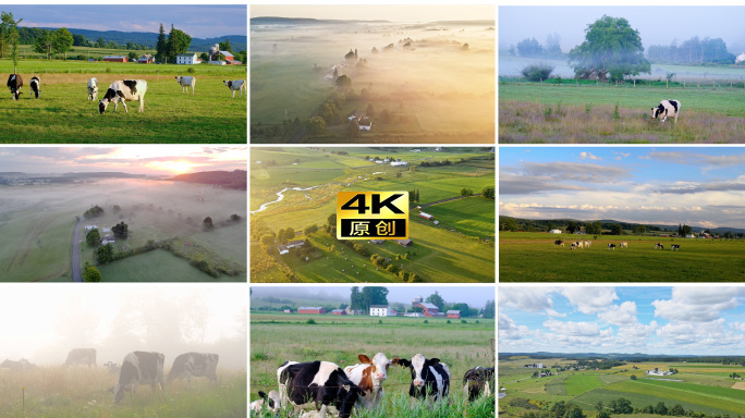 实拍夏季牧场，牧场的清晨和黄昏，俯瞰牧场