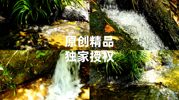 清澈溪流与翠绿植物